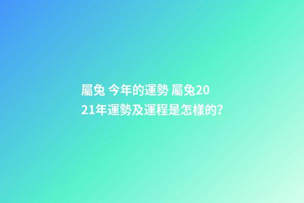 屬兔 今年的運勢 屬兔2021年運勢及運程是怎樣的？-第1張-觀點-玄機派